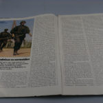 RBNr-PA230107.jpg