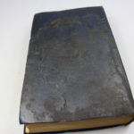 RBNr-IMG_8534