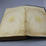 RBNr-IMG_8535