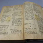 RBNr-IMG_8536
