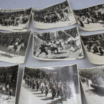 RBNr-IMG_8727