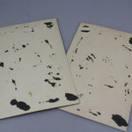 RBNr-IMG_8808
