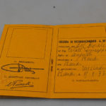 RBNr-IMG_2707