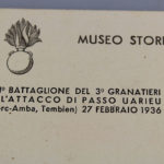 RBNr-IMG_2532
