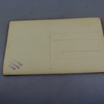 RBNr-IMG_3299