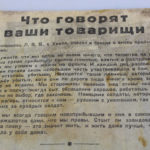 RBNr-IMG_4373